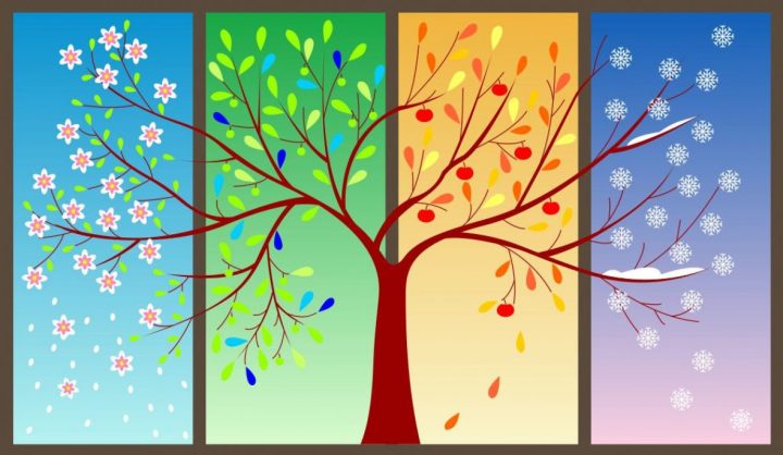 The Ever-Changing Seasons of&nbsp;Motherhood